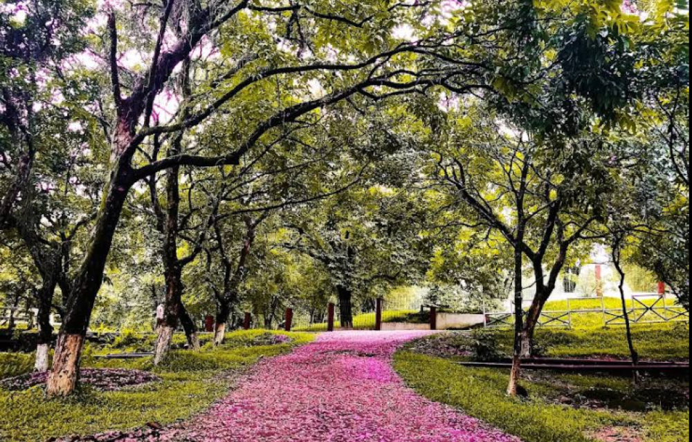 Indira Gandhi Park